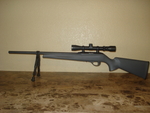 Remington 597